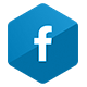 Icono de la red social Facebook: Servicio en red social Facebook - Link Socially