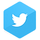 Icono de la red social Twitter: Servicio en red social Twitter - Link Socially